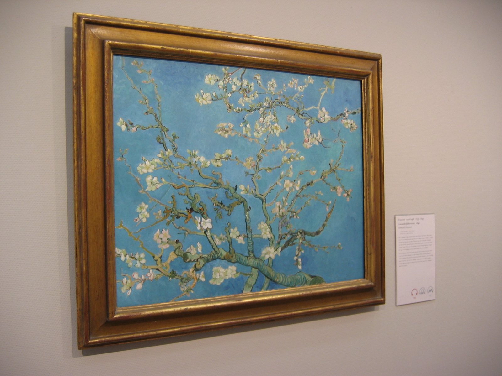 Blossoming Beauty: Vincent van Gogh’s Almond Blossoms